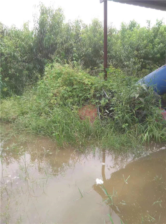 紫莊鎮(zhèn)政府不作為 農民受損數百萬